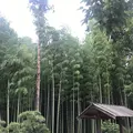偕楽園の写真_614539