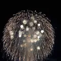 長岡まつり大花火大会の写真_622457