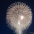 長岡まつり大花火大会の写真_622458