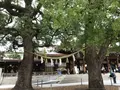 明治神宮の写真_623344