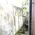 富貴温泉　富貴の森の写真_624657