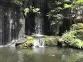 ホテル雅叙園東京（旧 目黒雅叙園）の写真_627823