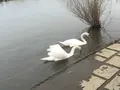 道の駅水の郷さわらの写真_627919