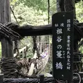 祖谷のかずら橋の写真_628225