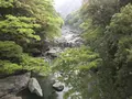 祖谷のかずら橋の写真_628226