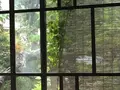 たけおごはんの写真_629236