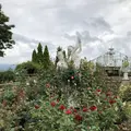 ハーブ庭園旅日記の写真_629265