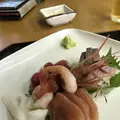 月うさぎの里の写真_629629