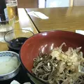 月うさぎの里の写真_629630