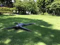 彫刻の森美術館の写真_630111