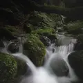 スッカン沢の写真_630301