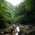 スッカン沢の写真_630302