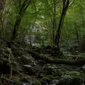 スッカン沢の写真_630305