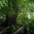 スッカン沢の写真_630306