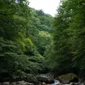 スッカン沢の写真_630307