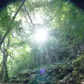 スッカン沢の写真_630309