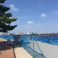 東京テレポート駅の写真_630963
