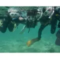 沖縄の写真_631046