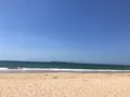 三苫海水浴場の写真_631362