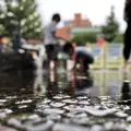 雷門の写真_632095