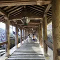 長谷寺の写真_632314