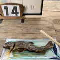 上高地の写真_634931