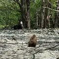 上高地の写真_634935