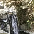 仙厳の滝の写真_635773
