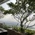 Spago Singaporeの写真_636298
