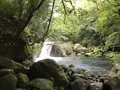 菊池渓谷の写真_636612