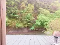 青葉の瀬の写真_636622