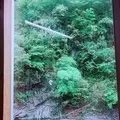 青葉の瀬の写真_636623