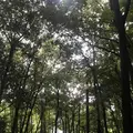 飯高山公園の写真_636945