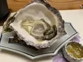 天橋立の写真_637629