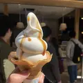神奈川の写真_637645