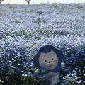 PALM GARDEN MAISHIMA by WBF（パームガーデン舞洲）の写真_637655