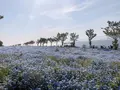 PALM GARDEN MAISHIMA by WBF（パームガーデン舞洲）の写真_637656