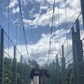 ハーベストの丘の写真_637658
