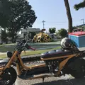 十和田市現代美術館の写真_637668