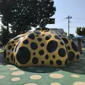 十和田市現代美術館の写真_637670