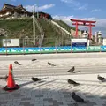 蕪嶋神社の写真_637679