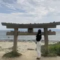 直島の写真_637704