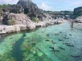 葛西臨海水族園の写真_638914