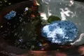 明月院（あじさい寺）の写真_638965