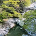 祖谷のかずら橋の写真_638980