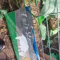 ついんスターの写真_639497