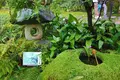 臥龍山荘の写真_639578