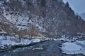タルマかね氷の写真_639593