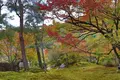 天龍寺の写真_639613