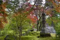 天龍寺の写真_639614